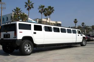 Limousine Insurance in Texas & New Mexico